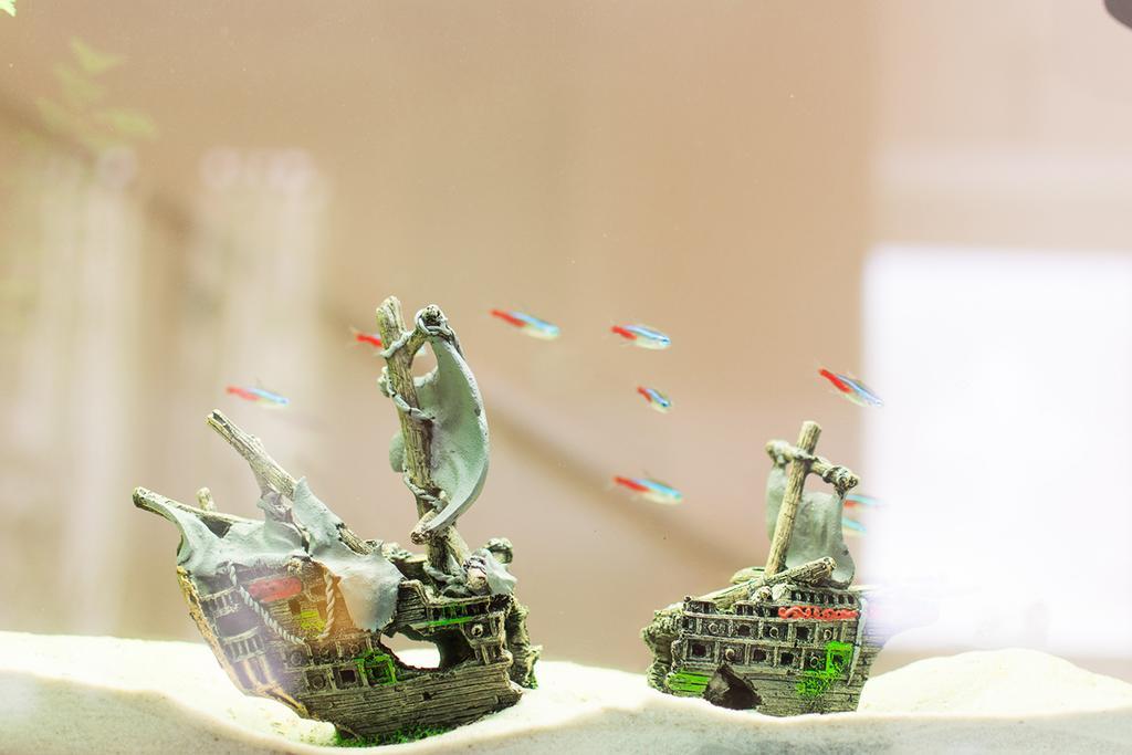 Il Giglio Verde Porto SantʼElpidio Екстериор снимка
